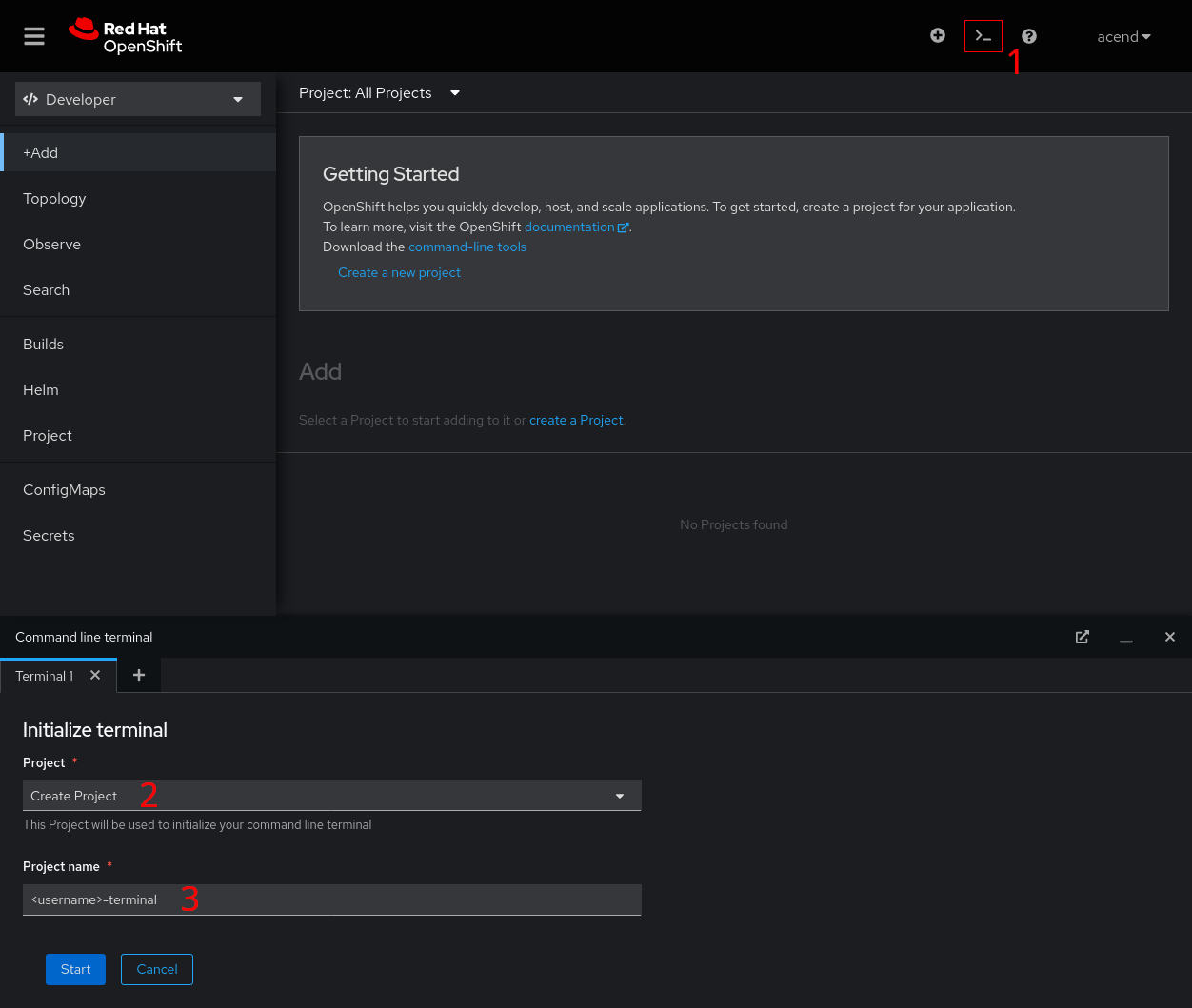 Web terminal in the OpenShift console